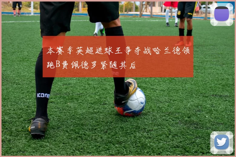 本赛季英超进球王争夺战哈兰德领跑B费佩德罗紧随其后